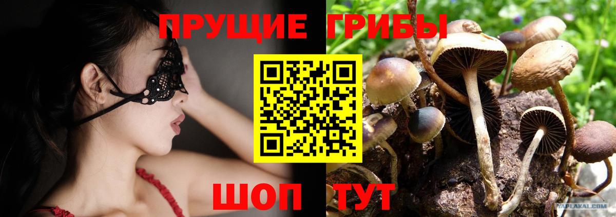 Псилоцибиновые грибы Cubensis  Галлюциногенные грибы ЛСД  Вход с VPN  Семилуки 